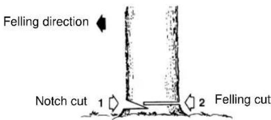 Tanaka ECV-5601 - FELLING A TREE - 1