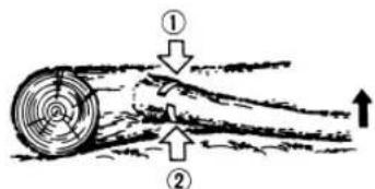 Tanaka ECV-5601 - Ebranchage d'un arbre abattu - 1