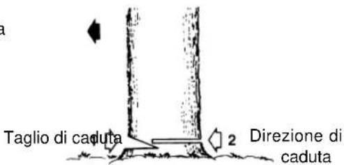 Tanaka ECV-5601 - TAGLIO DI UN ALBERO - 1