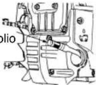 Tanaka ECV-5601 - Serbatoio dell'olio - 1