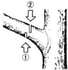 Tanaka ECV-5601 - Elagage d'un arbre - 1