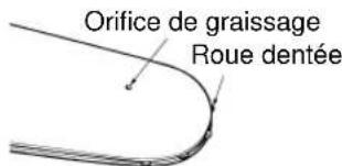 Tanaka ECV-5601 - Guide-chaine - 2