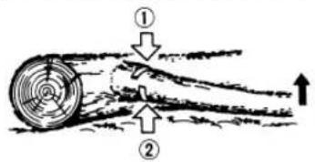 Tanaka ECV-5601 - Sfrondamento di un albero abbattuto - 1