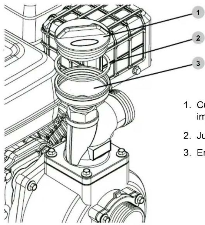 Simpson SSTP71007 - Cebando la bomba - 1