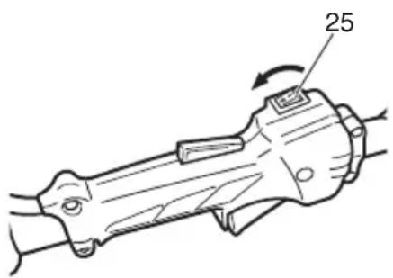 25