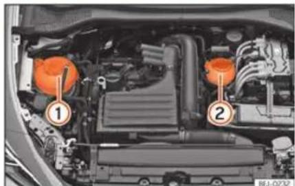 SEAT Tarraco (2023) - Reservoir de liquide de refroidissement - 1