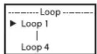 Cameo FLAT PRO 12 G2 - MODO AUTÓNOMO LOOP - 3