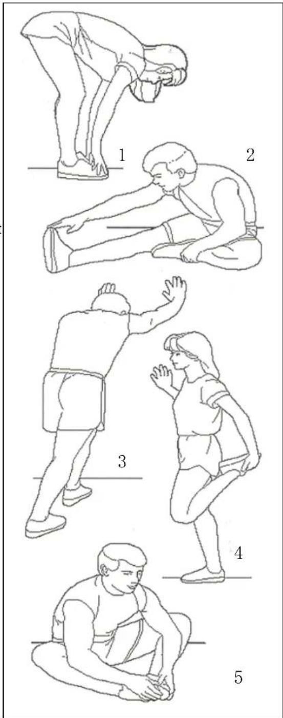 Merax MS282993 - Groin Stretch - 1