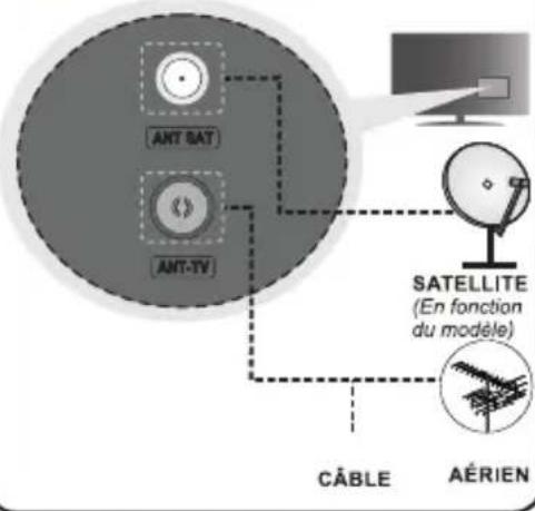 ANT BAT ANT-TV SATELLITE (En fonction du modèle) CÂBLE AÉRIEN