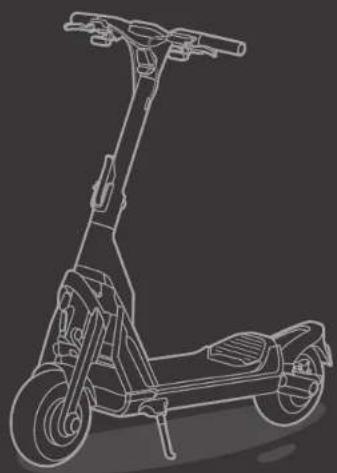 SEGWAY Ninebot KickScooter GT1D - Trademark - 3