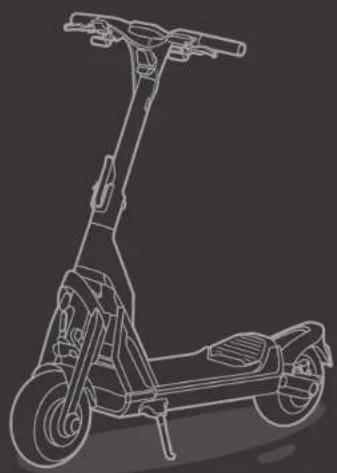 SEGWAY Ninebot KickScooter GT1D - 1
