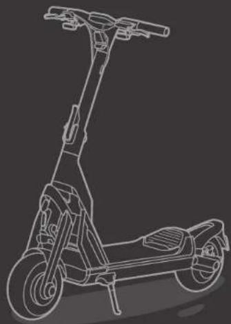 SEGWAY Ninebot KickScooter GT1D - CE - 3