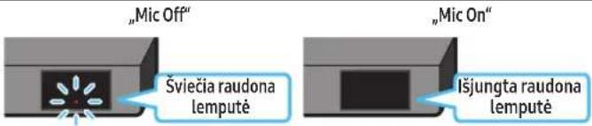 SAMSUNG HW-Q810GC - GAMINIO APŽVALGA - 1