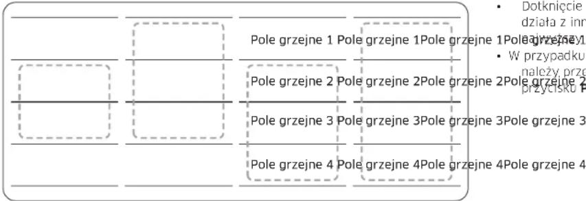 SAMSUNG NZ84C6058KK - Panel Flex Plus (tylko modele z funkcją panelu Flex Plus) - 2