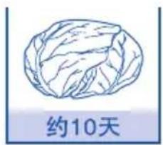 HAIER BCD-550WDIDU1 - 果蔬储藏时间的基准 - 2