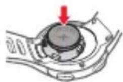 MAGELLAN Echo - Bateria - 3