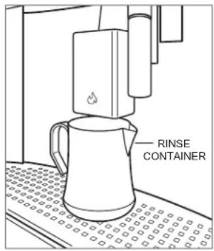 RINSE CONTAINER
