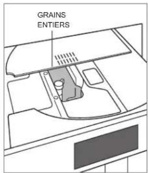 GRAINS ENTIERS
