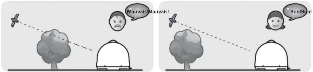 Mauvais! Mauvais! Bon!Bon!