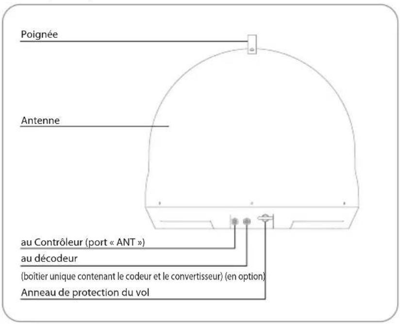 Poignée Antenne au Contrôleur (port « ANT ») au décodeur (boîtier unique contenant le codeur et le convertisseur) (en option) Anneau de protection du vol