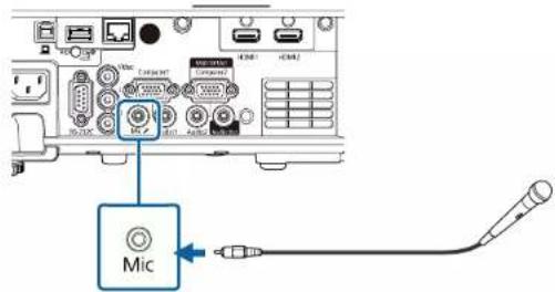 Mic