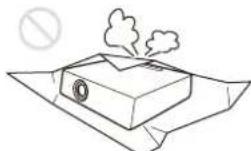 SONY VPL-PHZ61 - On safety - 3