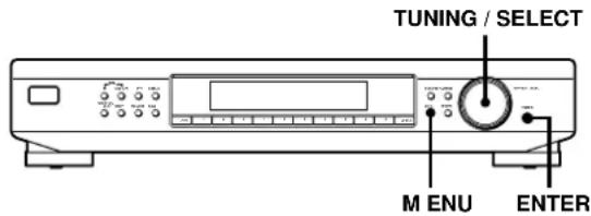 SONY ST-SB520 - Personalización del visualizador - 2