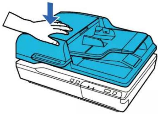 EPSON WorkForce DS-5500N - Caractéristiques et positionnement des originaux - 1