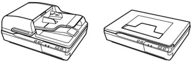 EPSON WorkForce DS-5500N - Pièces du scanner - 1