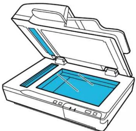 EPSON WorkForce DS-5500N - Important: - 1