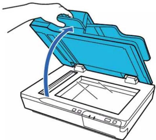 EPSON WorkForce DS-5500N - Caractéristiques et positionnement des originaux - 1