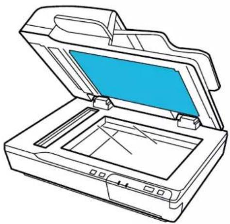 EPSON WorkForce DS-5500N - Important: - 3