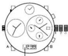 Diesel RASP - CHROnOgRaPHen ZURÜCKSetZen - 1