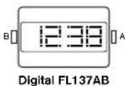 Diesel RASP - Digital FL137AX, FL137AB, QFOX21CA, QFOX21CB - 2