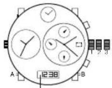 Diesel RASP - Numérique FL137AX, FL137AB, QFOX21CA, QFOX21CB - 1