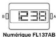Diesel RASP - Numérique FL137AX, FL137AB, QFOX21CA, QFOX21CB - 2