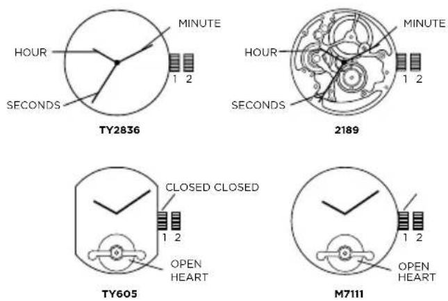 Emporio Armani Chronograph AR11201 - AUTOMATIC WINDING MOVEMENT - 1