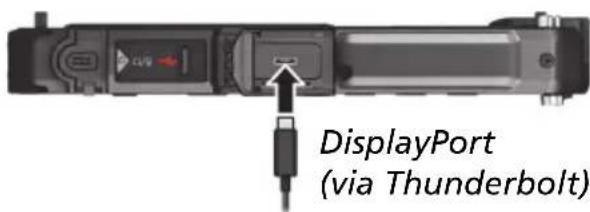 DisplayPort (via Thunderbolt)