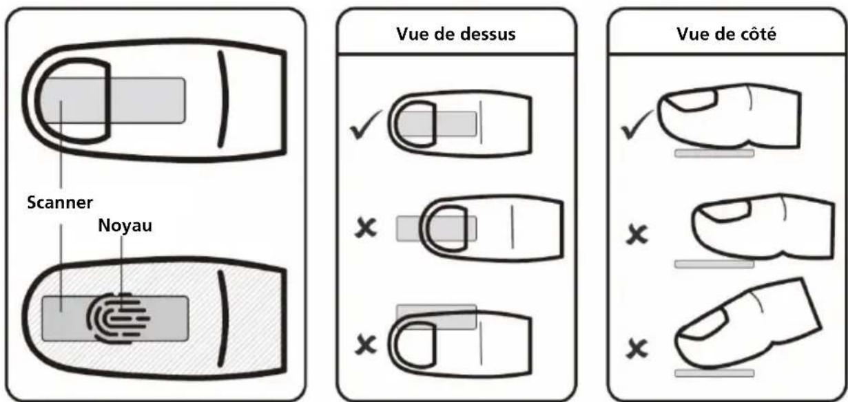 Scanner Noyau Vue de dessus Vue de côté
