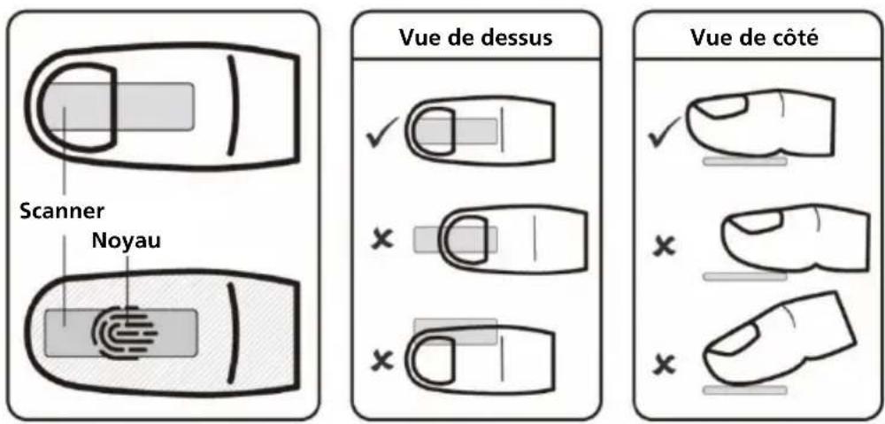 Scanner Noyau Vue de dessus Vue de côté