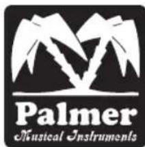 Palmer Peins - DEFINE YOUR TONE - 1