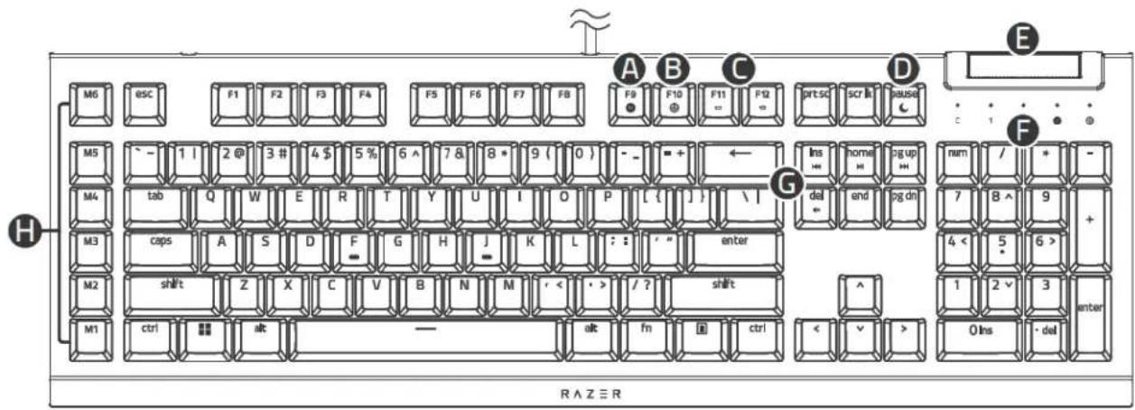 RAZER BlackWidow V4 X - CE QUI VOUS ATTEND - 1