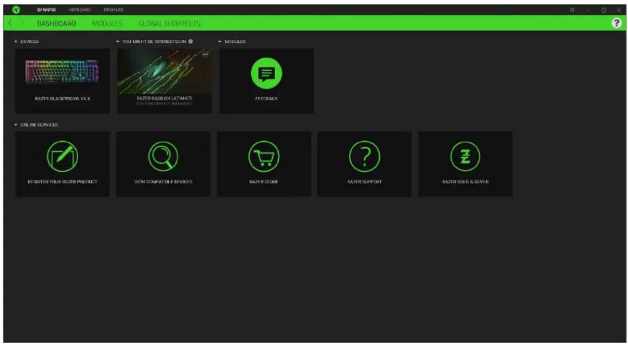 RAZER BlackWidow V4 X - Tableau de bord - 1