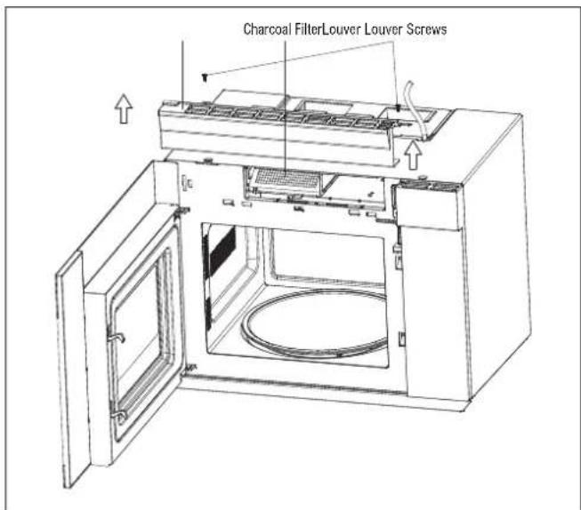 Thor TOR24SS - C5. CHANGE THE CHARCOAL FILTER - 1