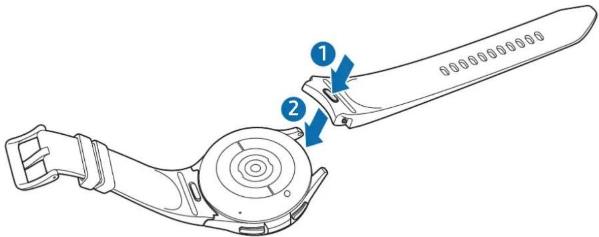 SAMSUNG Galaxy Watch 6 - Attacher et retirer le bracelet - 3