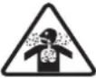 WESTINGHOUSE ecoGen10000 - SAFETY SYMBOLS - 5