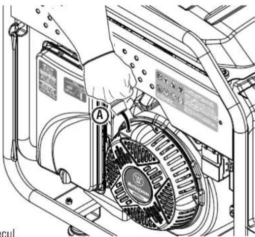 WESTINGHOUSE ecoGen10000 - Voir la figure 22. - 1
