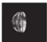 Krontaler GT-WS-19 - Phases lunaires - 10