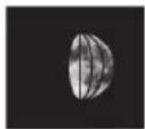 Krontaler GT-WS-19 - Phases lunaires - 5