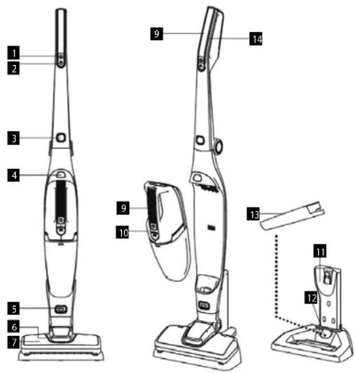 Concept VP4165 - Rúdporszívó - 1